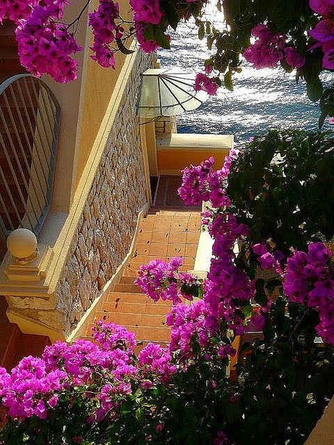 Bouganvilla Stairs, Nice, France